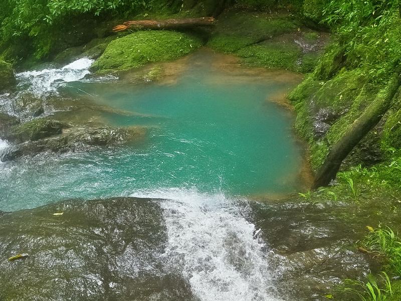 5 Days of Pure Wildlife in the Osa – Corcovado, Drake Bay, Sierpe & More