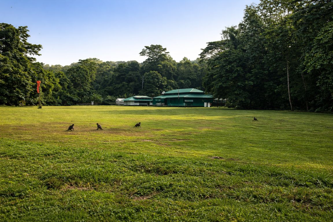 Wide view of Sirena Ranger Station with monkeys on grassy field in Corcovado National Park, photographed during our Corcovado National Park Tours experience